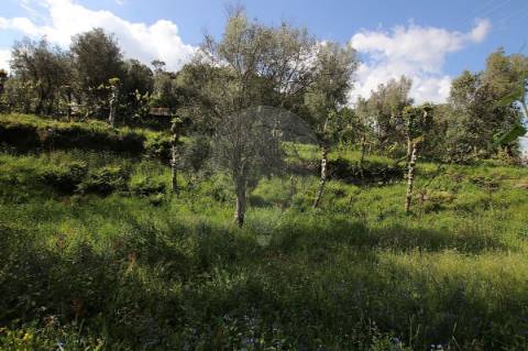 Terreno  para venda