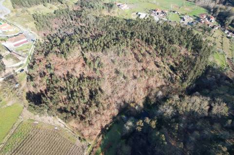 Terreno  para venda