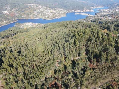 Terreno  para venda