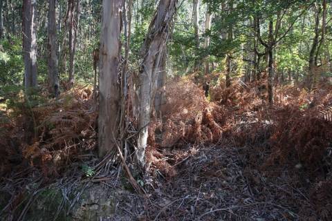 Terreno  para venda