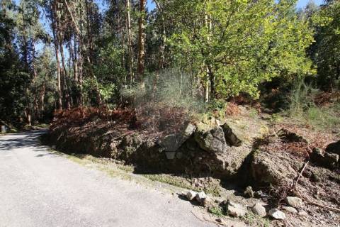 Terreno  para venda