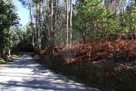 Terreno  para venda