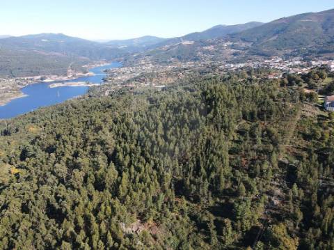 Terreno  para venda