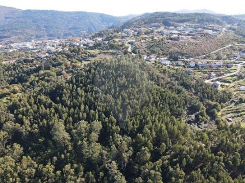Terreno  para venda