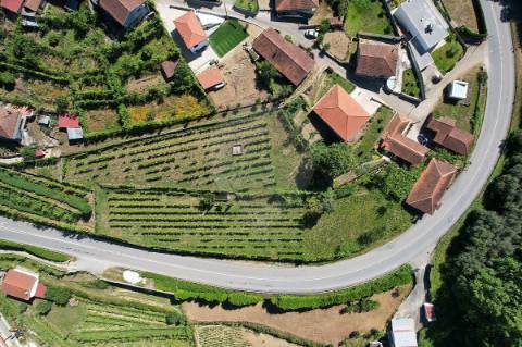 Terreno  para venda