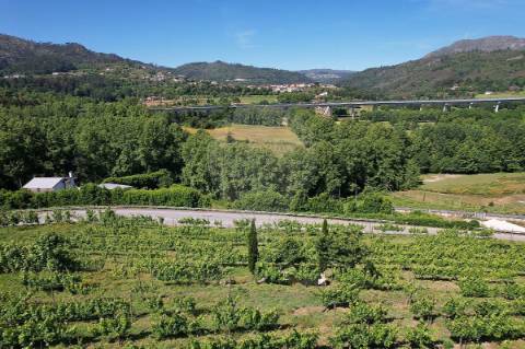 Terreno  para venda