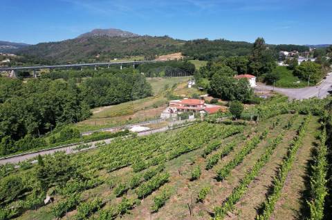 Terreno  para venda