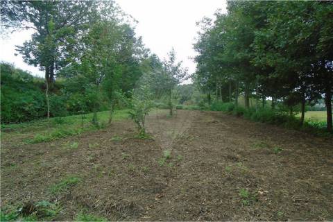 Terreno  para venda