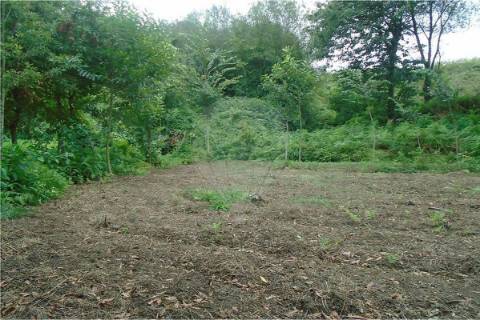 Terreno  para venda