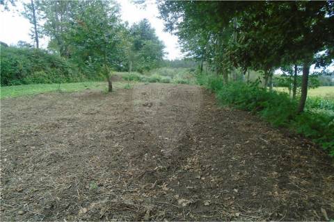 Terreno  para venda