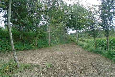 Terreno  para venda