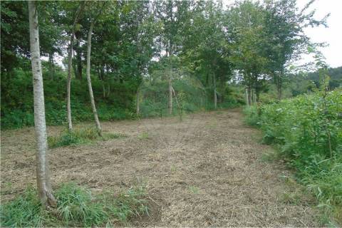 Terreno  para venda