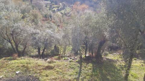 Terreno  para venda