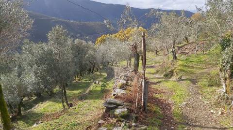 Terreno  para venda