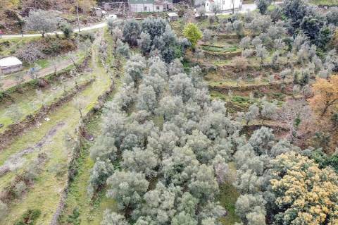 Terreno  para venda