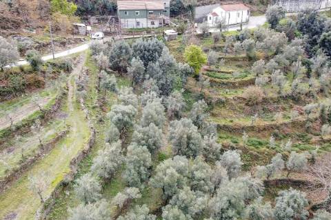 Terreno  para venda