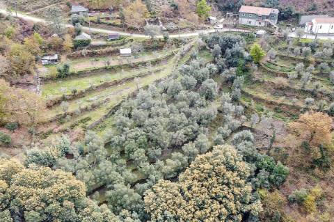 Terreno  para venda
