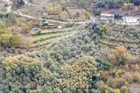 Terreno  para venda