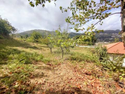 Terreno  para venda
