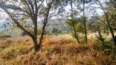 Terreno  para venda