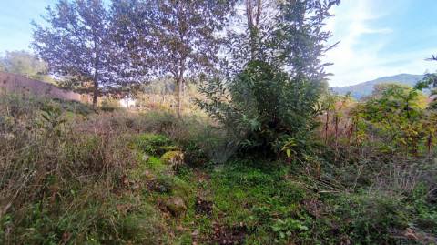 Terreno  para venda