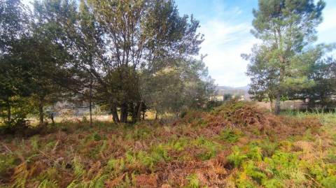 Terreno  para venda