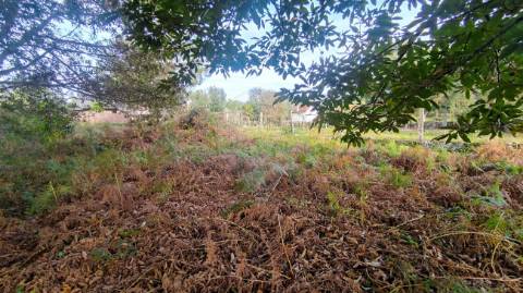 Terreno  para venda