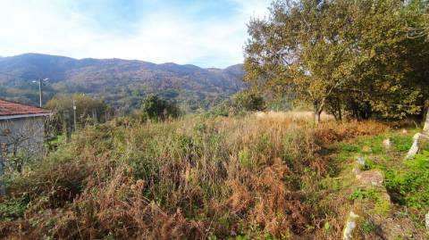Terreno  para venda