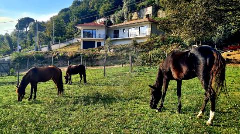 Quinta  para venda