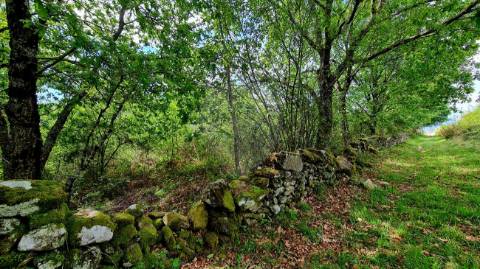 Terreno  para venda