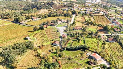 Terreno  para venda