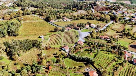 Terreno  para venda