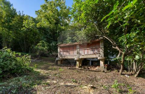Quinta  para venda
