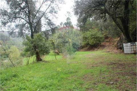 Terreno  para venda