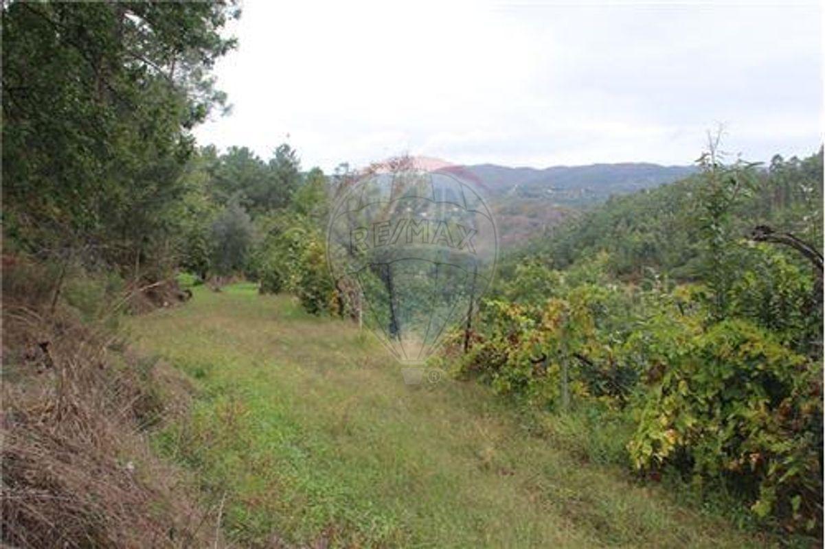 Terreno  para venda