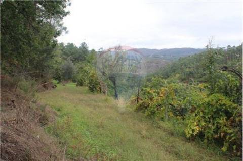Terreno  para venda
