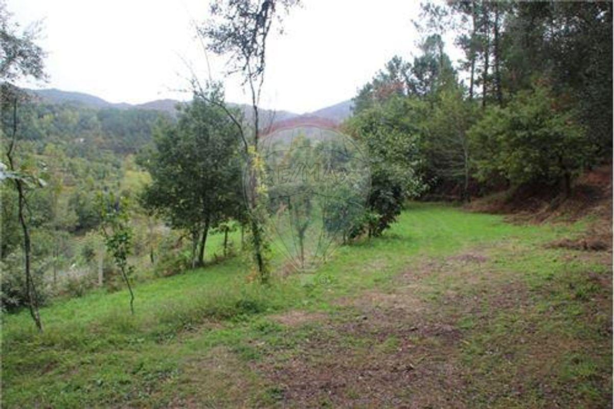 Terreno  para venda