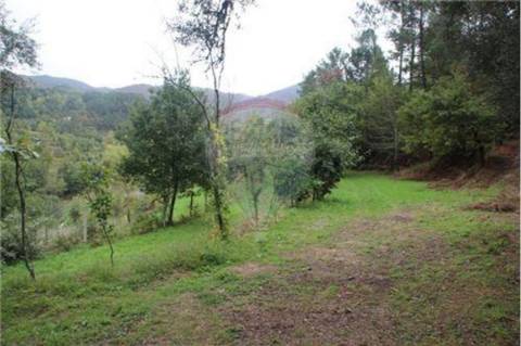 Terreno  para venda
