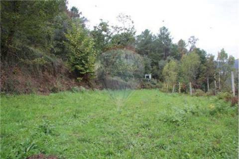 Terreno  para venda