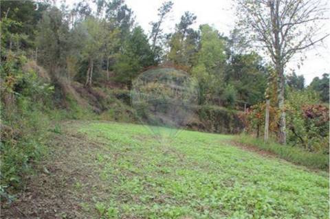 Terreno  para venda