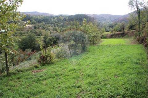 Terreno  para venda