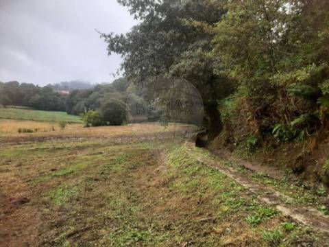 Terreno  para venda