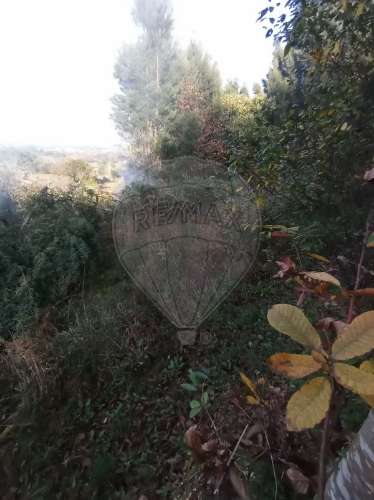Terreno  para venda