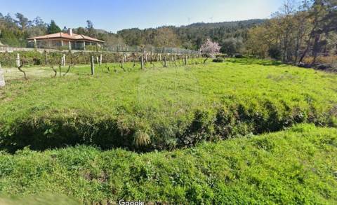 Terreno  para venda
