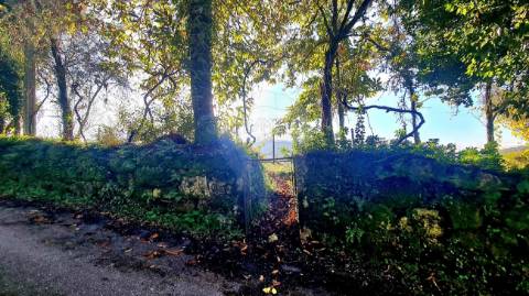 Terreno  para venda