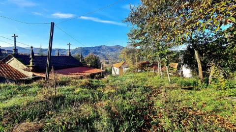 Terreno  para venda