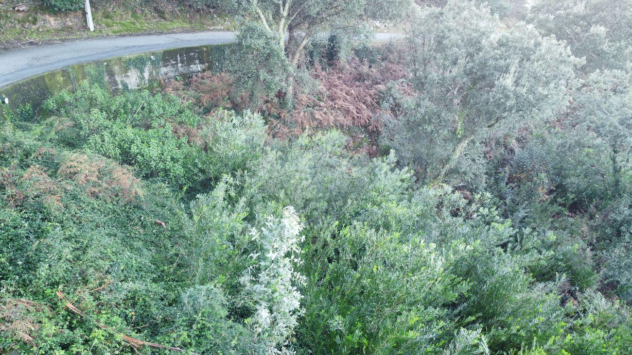 Terreno  para venda