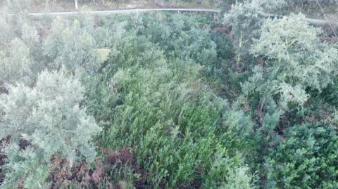 Terreno  para venda