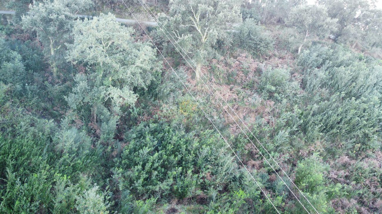 Terreno  para venda