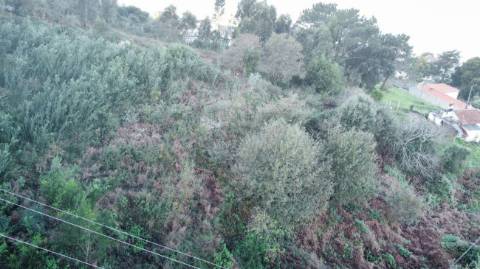 Terreno  para venda